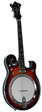 EBM-4 goldtone banjo