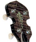 long neck banjo