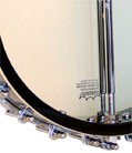 long neck banjo