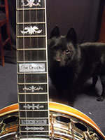 banjo bones