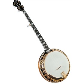 Gold Star GF-300FE Professional Banjo