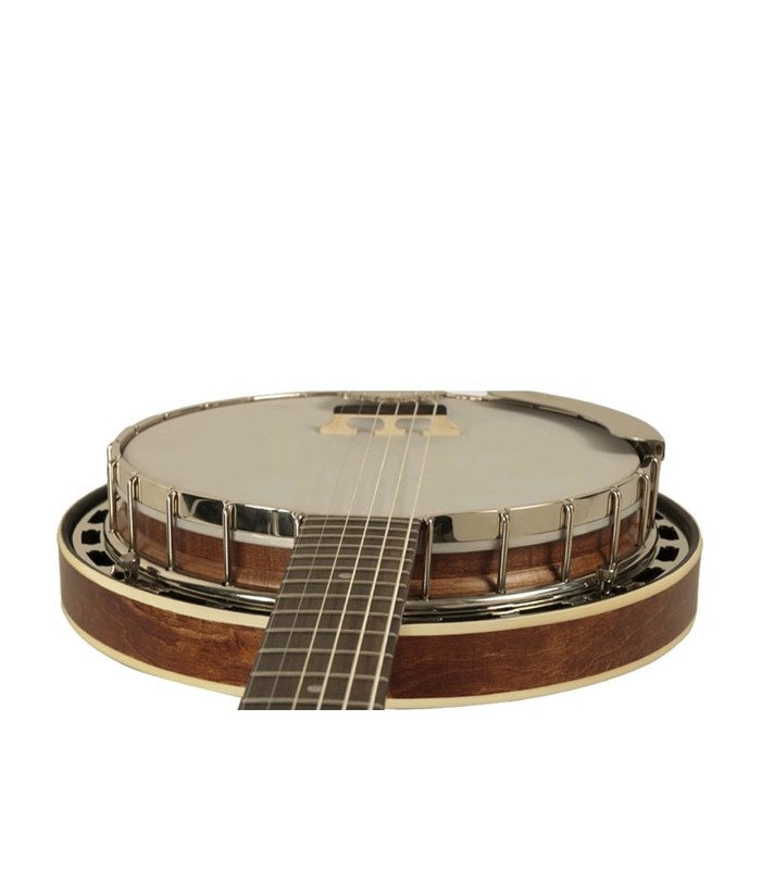 The Madison RK-G25 6-String Banjo