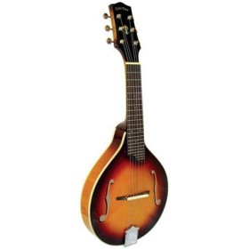 Mandolin - Goldtone  -  GM-6