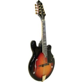 Gold Tone Mandolin GM 110 | Rigel Patented Body Design