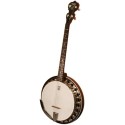 DEERING BOSTON 19-FRET TENOR BANJO