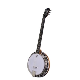 DEERING DELUXE 6-STRING BANJO