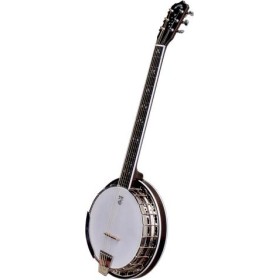 DEERING MAPLE BLOSSOM 6-STRING BANJO