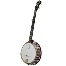 DEERING EAGLE II ACOUSTIC/ELECTRIC 5-STRING BANJO