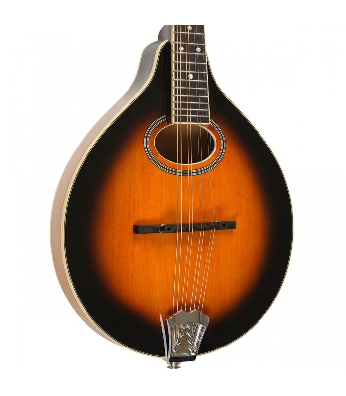 https://www.banjoteacher.com/5741-large_default_2x/gold-tone-a-style-mandolin-gm-50-plus.jpg