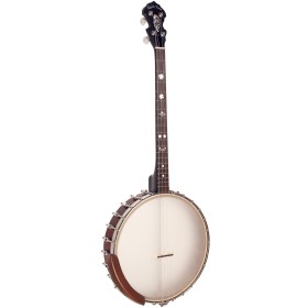 Gold Tone IT-19 Irish Tenor Banjo - 19 Fret - 12 Inch Rim