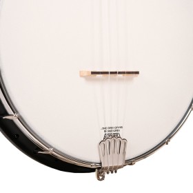 Gold Tone AC-1F Fretless Banjo With Fret Markers