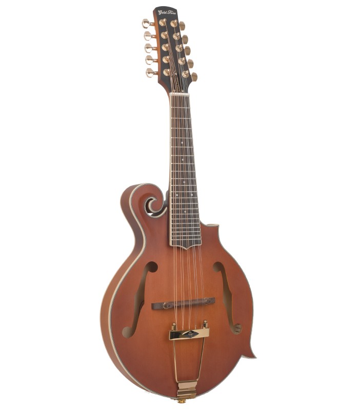 Gold Tone F-10 | F Style 10-String Mandolin with Low C String