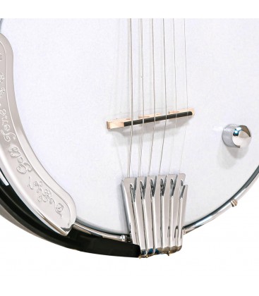 Gold Tone - The AC-6 SIX PLUS 6-string Banjo with Resonator