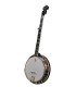 DEERING TENBROOKS SARATOGA STAR BANJO