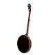 DEERING TENBROOKS SARATOGA STAR BANJO