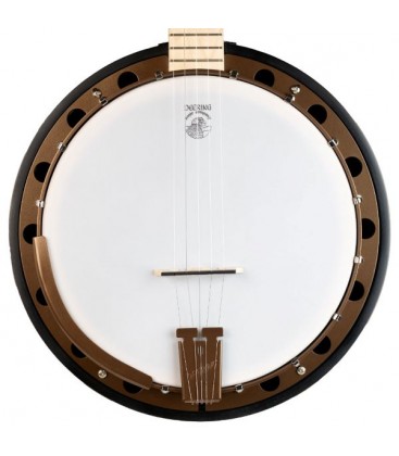 Deering Goodtime 2 Banjo with Free Deering Case and Beginner Package