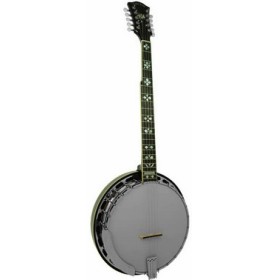 Goldtone BG 10 String Banjo