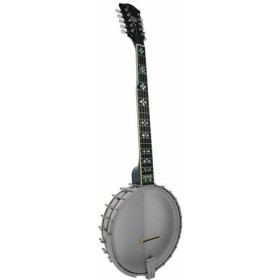 Lowest Priced Banjos From Goldtone